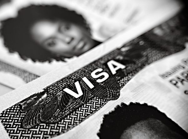 H-1B visa freeze: The real impact on US immigration