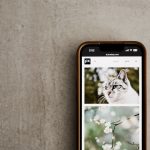 Windows 11 Photos App