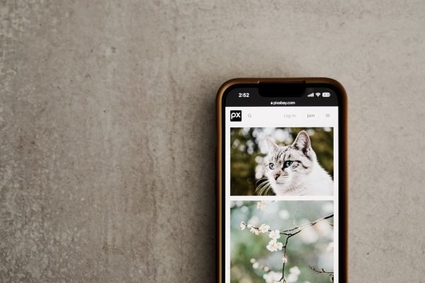 Windows 11 Photos App: Worst Update with Native Editor